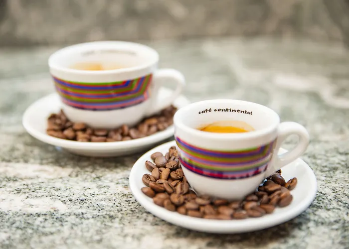 Continental 4* Brünn